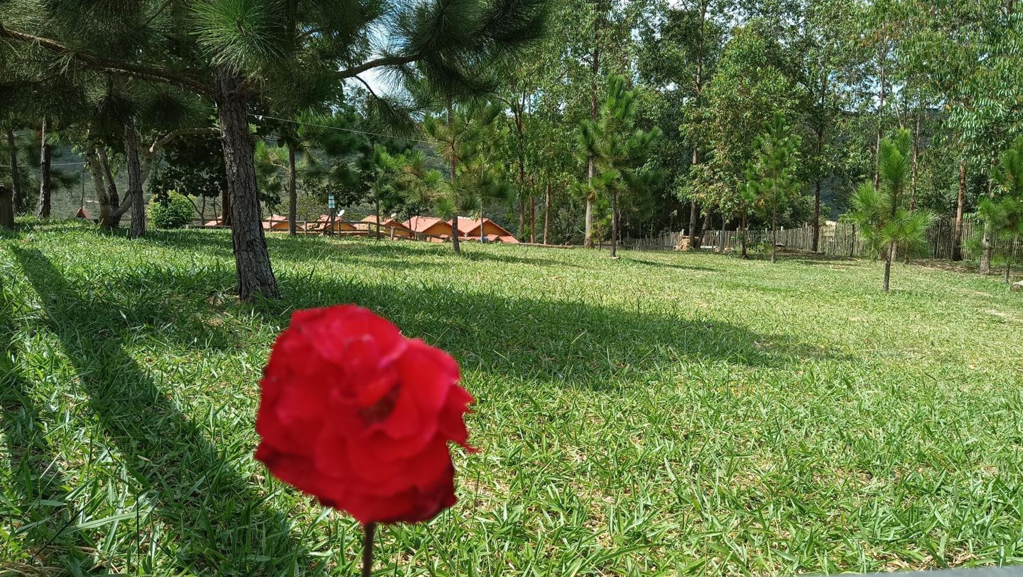 Chales E Camping Do Robinho 1 São Tomé das Letras Exteriör bild